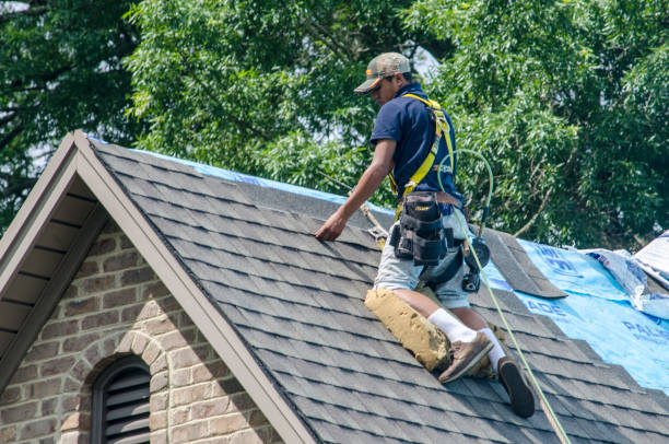 Professional Roofing Contractor in Fruit Cove, FL